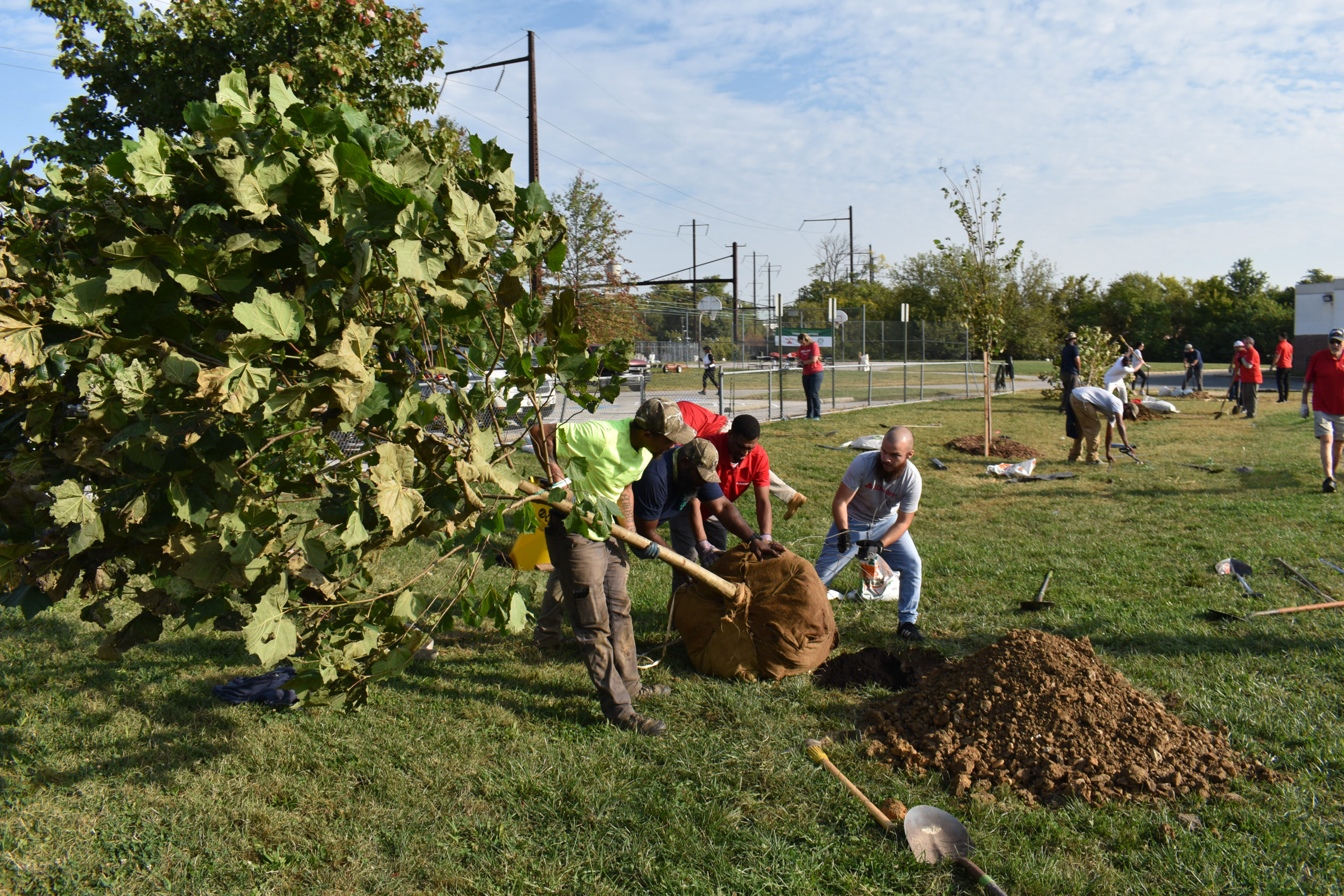 Image of a group of people planting a tree.